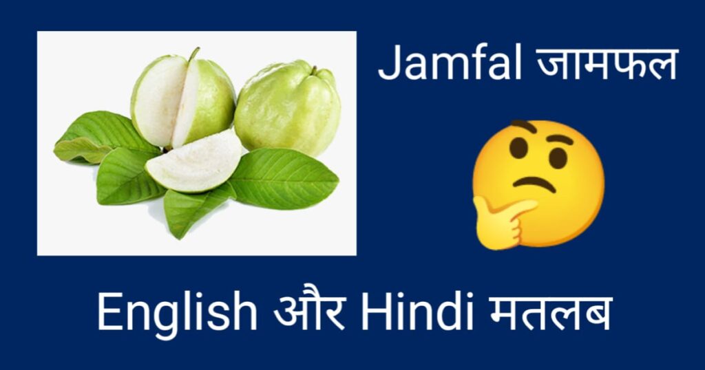 Jamfal in english