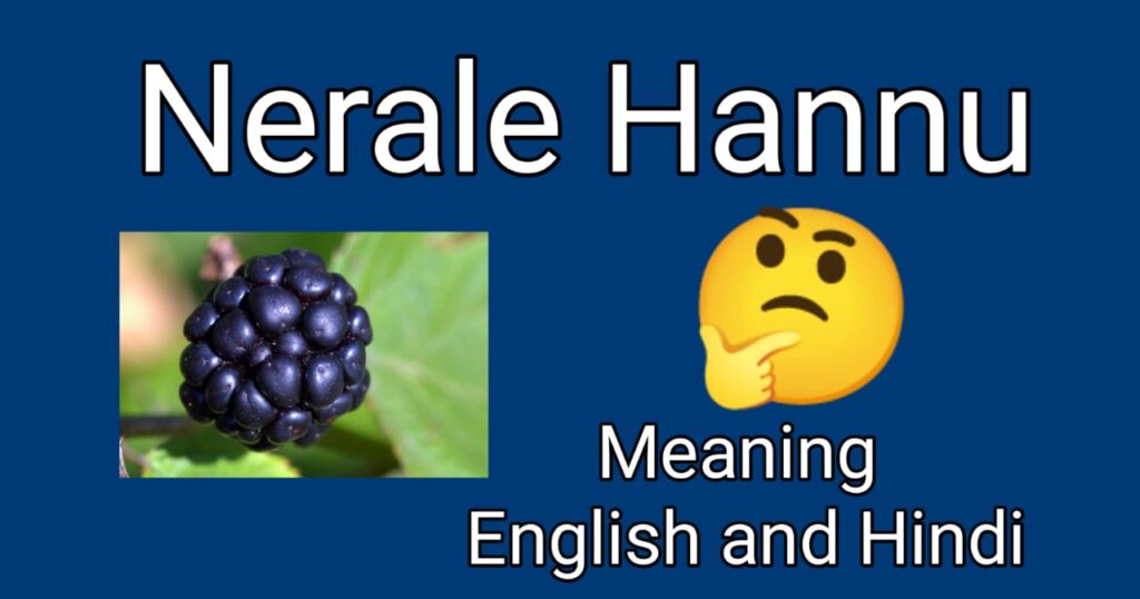 Nerale Hannu in english