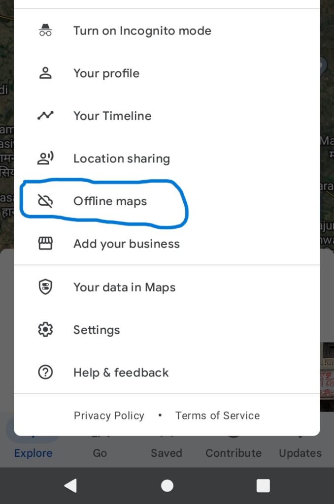 Download Google Maps Offline step 2